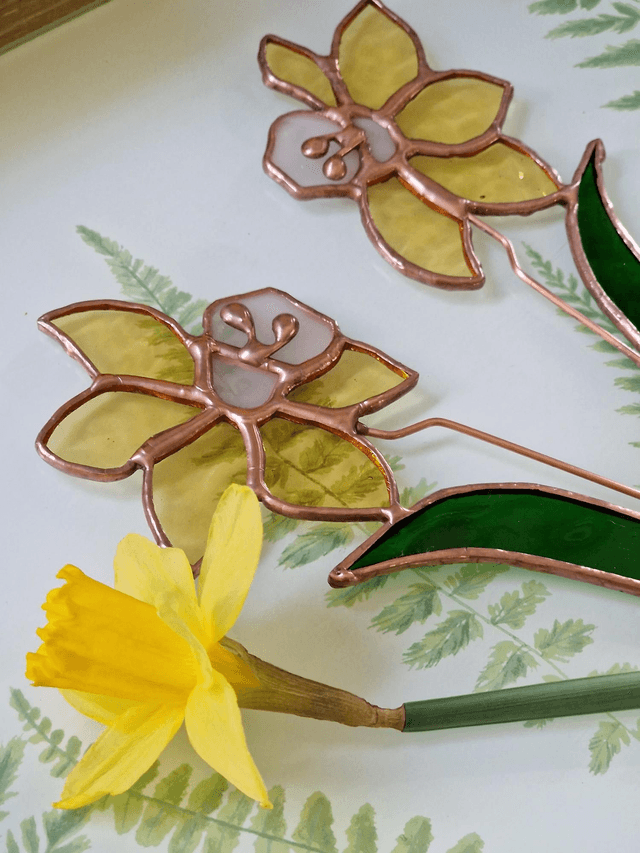 Daffodil Flower Stem